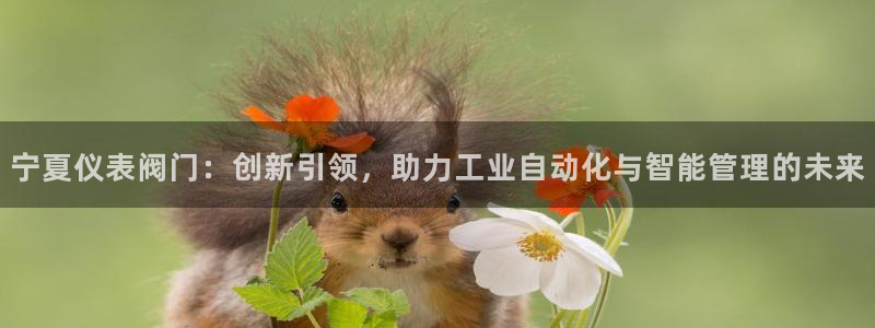 新宝gg高频彩票