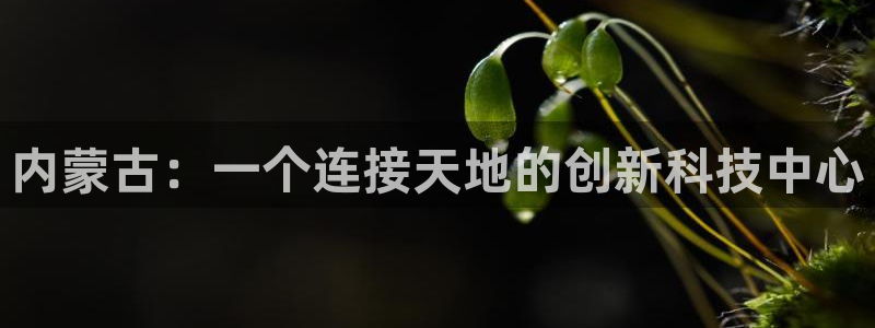 新宝gg登录平台