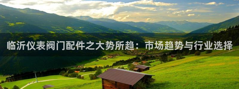 新宝gg网