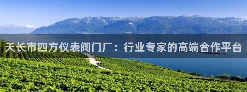 新宝gg 注册