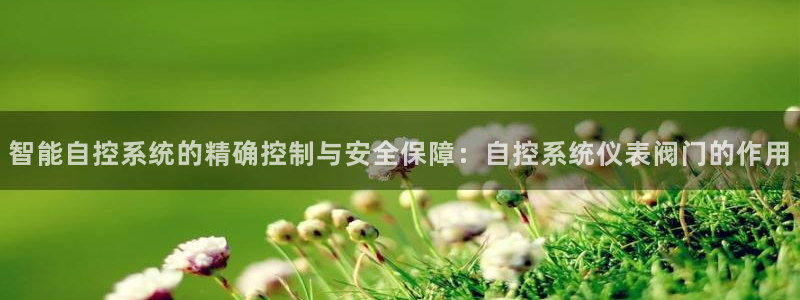 新宝gg主管
