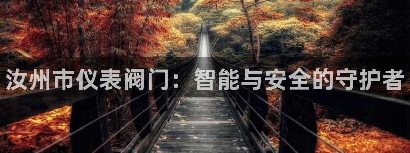 新宝-gg