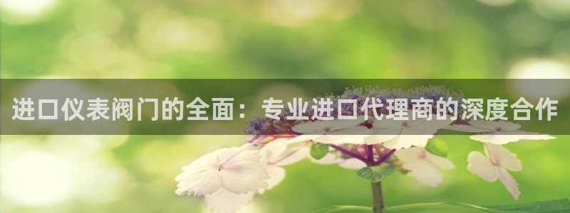 新宝gg cqdellar
