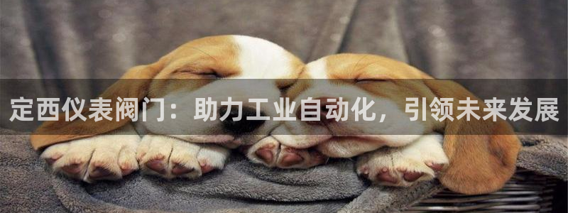 宝新gg