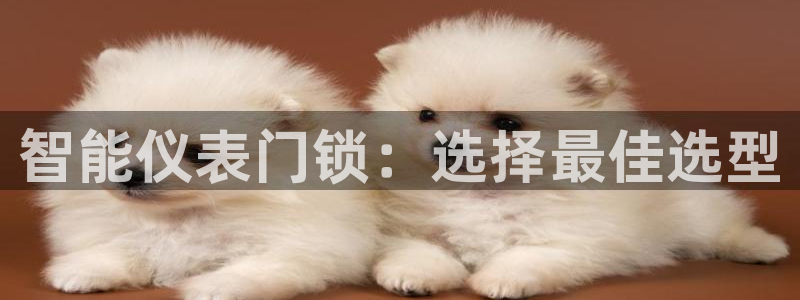 新宝gg 注册