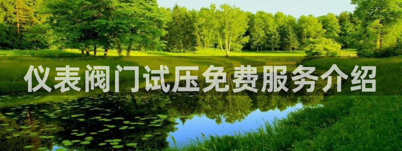 新宝 gg 登录注册