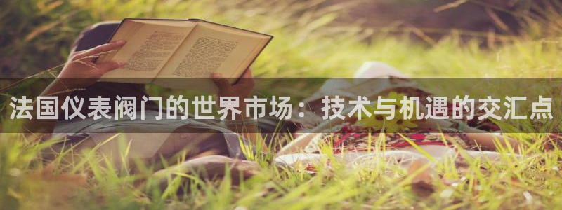 新宝gg登录网址