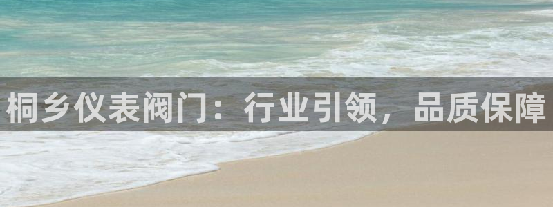 新宝gg招商