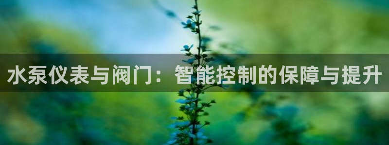 新宝GG冰冰