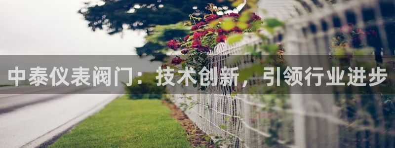 新宝哥gg