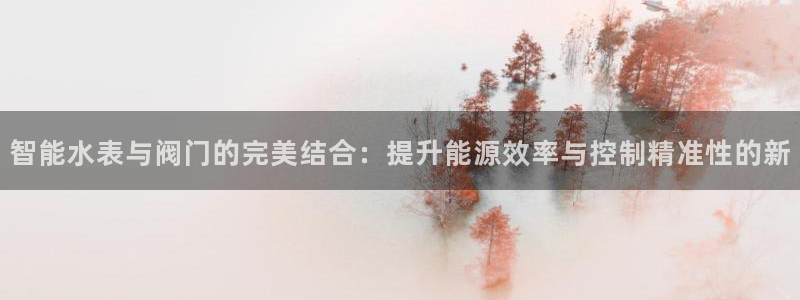 新宝gg总管