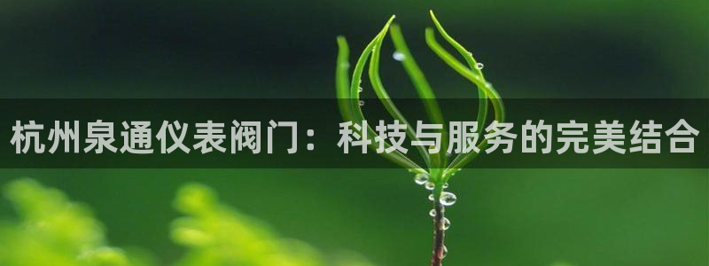 宝新gg