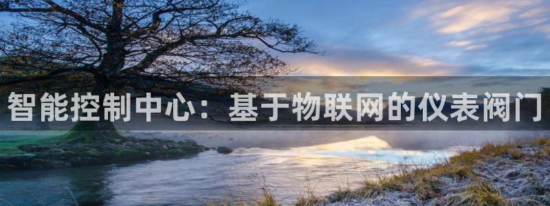 广东新宝电器gg
