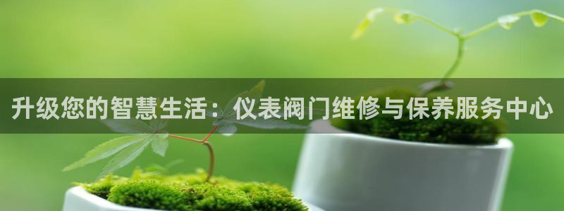 怎么下载新宝gg