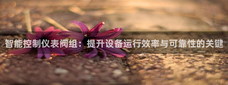 新宝gg娱乐vovq