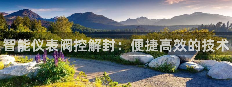 新宝gg如何做到总代理