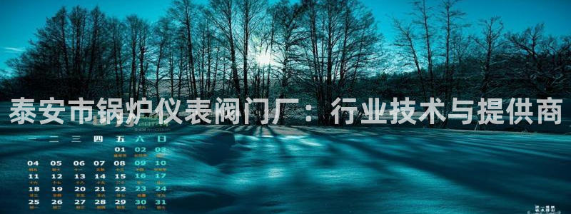 新宝GG的老板