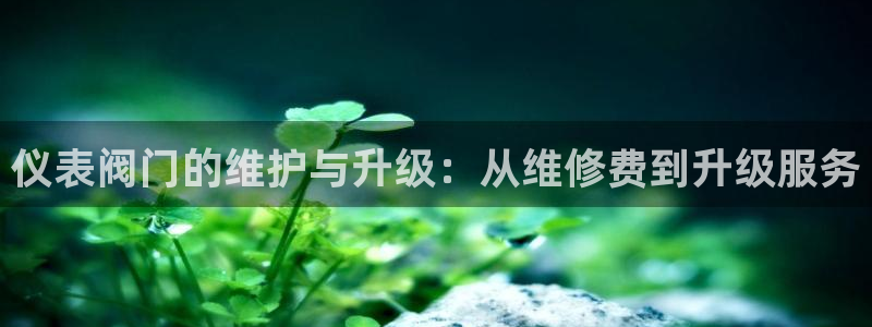 新宝gg如何登录