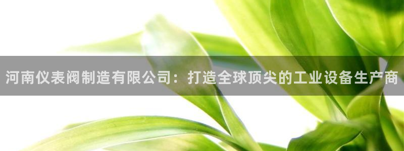 新宝gg app