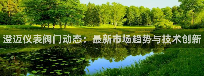 www.新宝gg