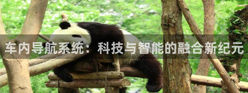 新宝gg登录线路测试