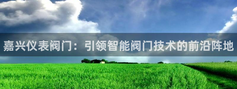 新宝gg娱乐怎么样