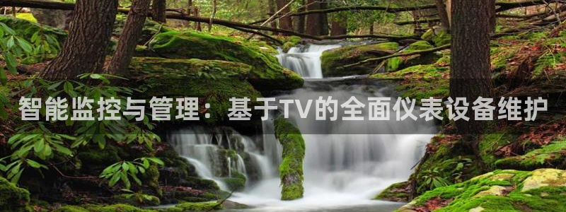 新宝GG 黑钱