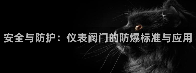 新宝GG网页